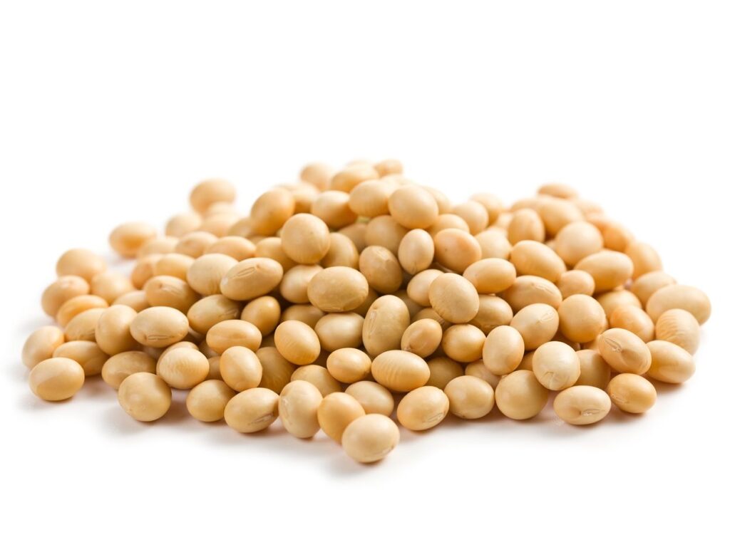 Organic Soybean Meal Organic Soybean Meal