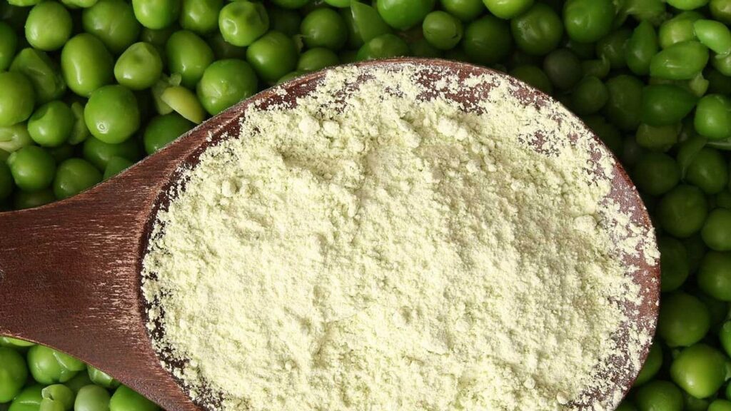 Pea Protein Concentrate Pea Protein Concentrate