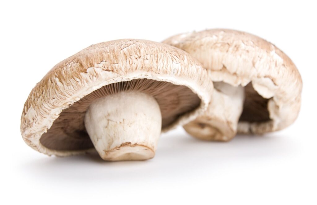 Portobello Mushrooms Portobello Mushrooms