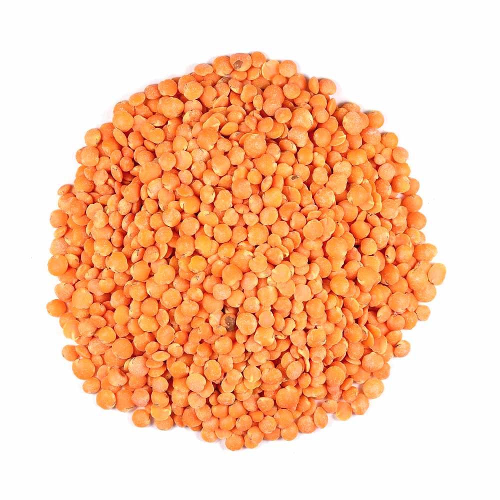 Red Lentils Red Lentils